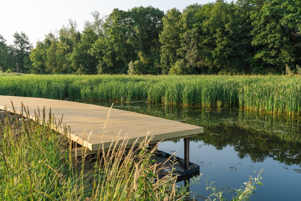 Aarschot opent eerste publieke natuurlijke zwemvijver van België 2