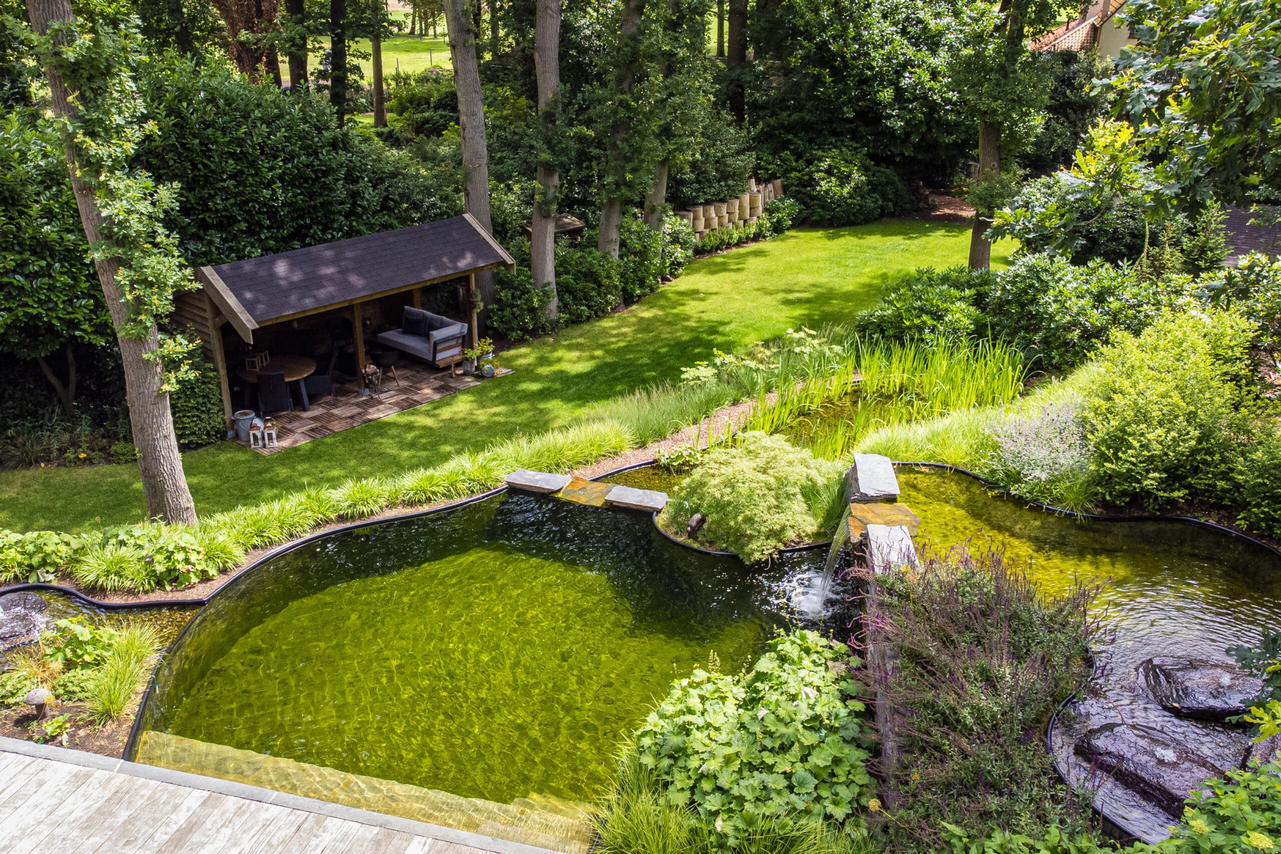 Adembenemende metamorfose: van zielloze tuin tot droomparadijs met zwemvijver 6