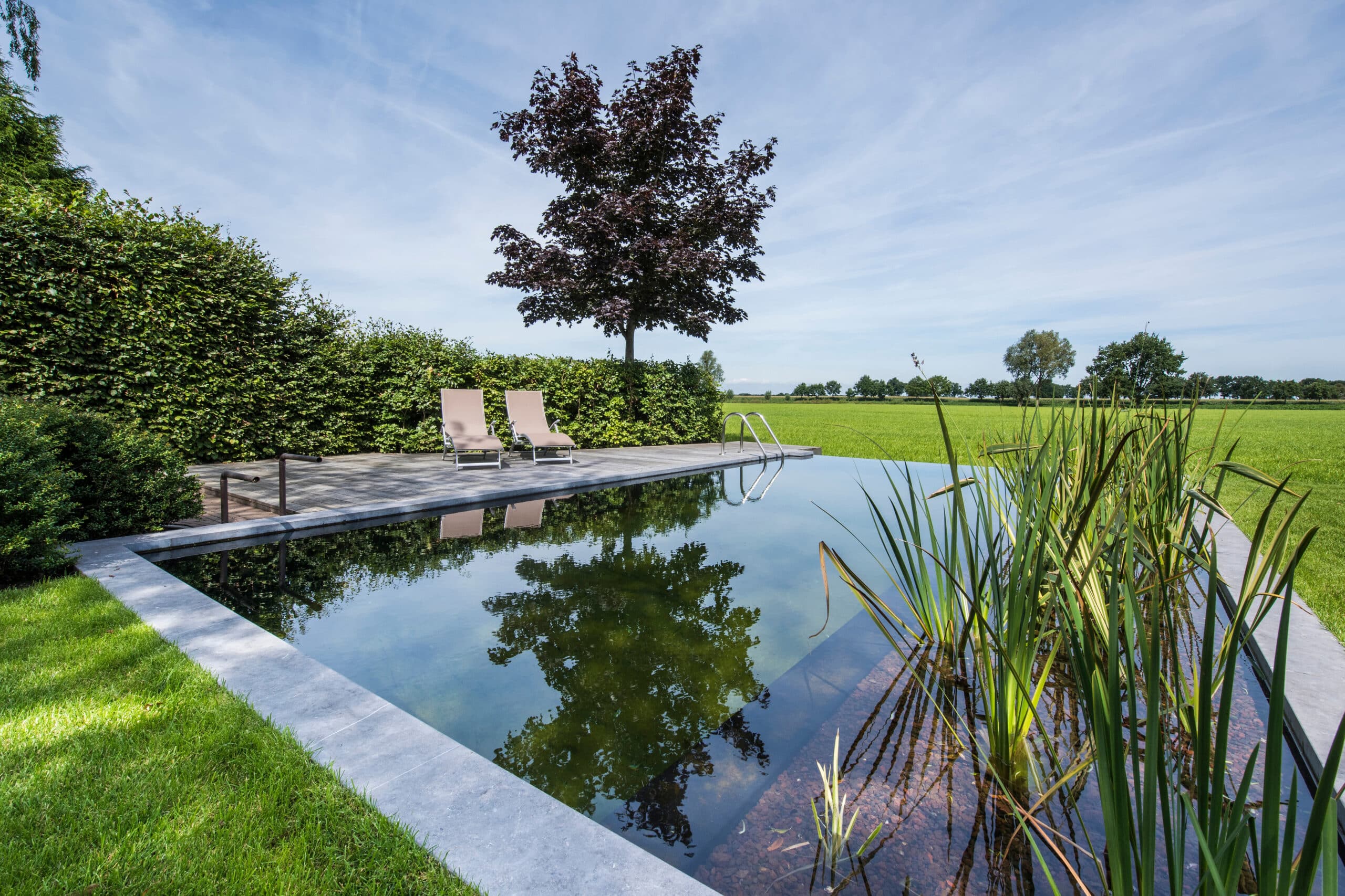 EPDM-folies voor vijver- en zwemvijverprojecten: esthetiek, duurzaamheid en maatwerk hand in hand 28