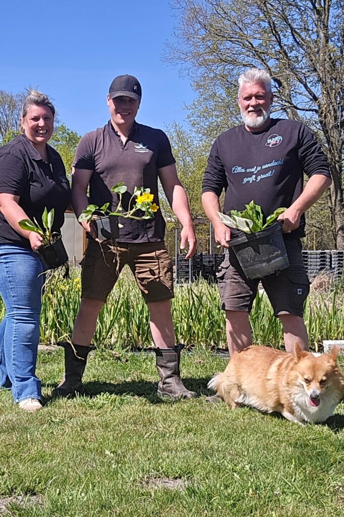 Waterplanten voor elke vijver: advies van Schuurmans & Co in Hechtel-Eksel 3