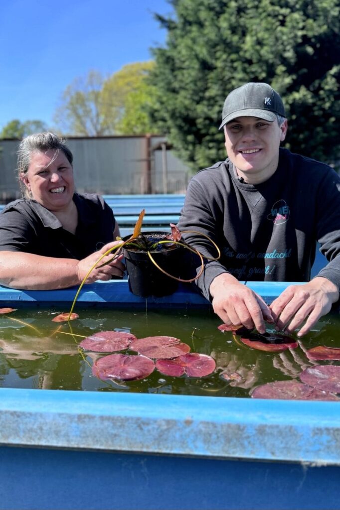 Waterplanten voor elke vijver: advies van Schuurmans & Co in Hechtel-Eksel 1